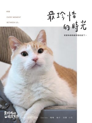 cover image of 黃阿瑪的後宮生活8